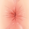 ������ ������������ XpucTocHaCy6apy