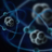 ekaradon