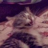 ������ ������������ Vladya94