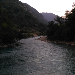 brindzha