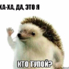 ������ ������������ SashkaBodrug