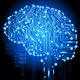 ������ ������������ BrainsBreakdown