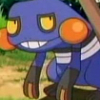 ������ ������������ Croagunk