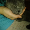 Аватар пользователя VikkiE
