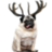 Shotgunn
