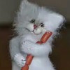 ������ ������������ ispytatel