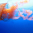 Meduza.0
