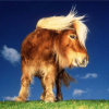 wheelhorse
