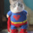 KoteSuperman