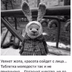 Marvin86