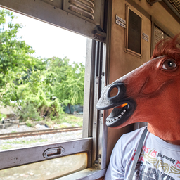Mr.Horsehead