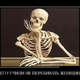 ������ ������������ siv67