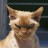 andrey1001