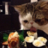 MeowzKusaoz