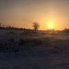 ������ ������������ Albinessa