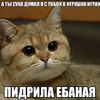 ������ ������������ KOT1