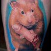 ������ ������������ tapo4kina