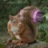 MadSquirrel