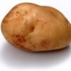 Bulbagolik