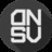 DNSV
