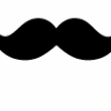 ������ ������������ Mustasch