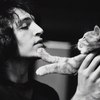 CatAndAlone