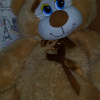 Alibabaevich2016