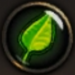 BbIBOPOT