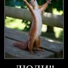 ������ ������������ InnaBelka