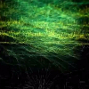 Аватар пользователя Aciddawn
