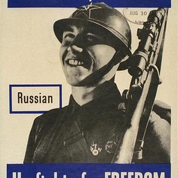 novik77