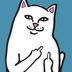user7377282