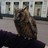 TiredOwl