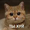 ������ ������������ puziko33