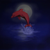 NightDolphin