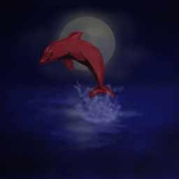 NightDolphin