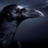 Ravenhan