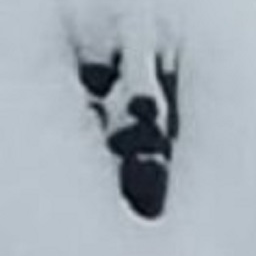 NoBirthNoDeath
