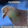 ������ ������������ Spicenotdead