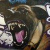 ShadowMalinois