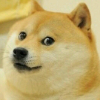 ������ ������������ SnoopDoge