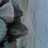 madina7