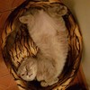������ ������������ Stasjan4ikys