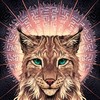 Pikabu profile picture for @forgiveness