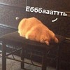 ������ ������������ Jackthesilver