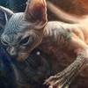 chimerrra