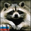 Аватар пользователя RedRaccoon