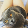 ������ ������������ Suslova2309