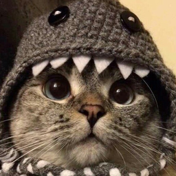VasyPupkin