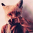 FoxyWild